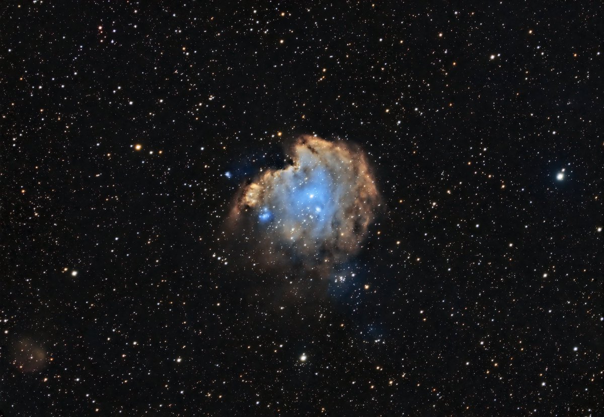 NGC 2174, the Monkey Head Nebula

This is a small emission nebula located in the Orion constellation approximately 6400 light years away. Reminds me of the original Planet of the Apes 😛

#space #clouds #astronomy #astrophotography