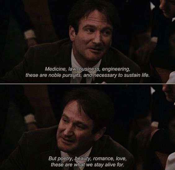 cinesthetic. tweet media