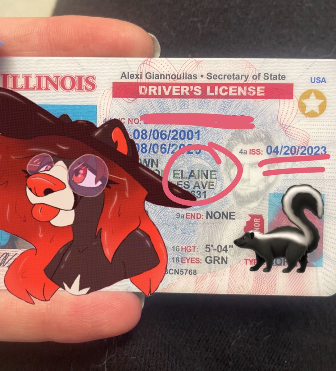 e-Lain 🦨 tweet media