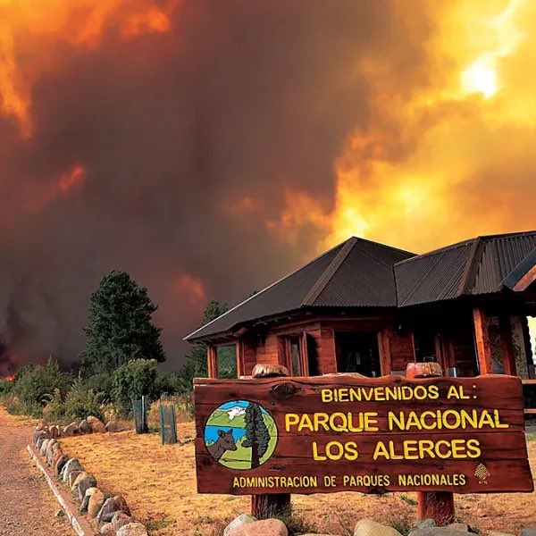 Avanza el incendio forestal en el Parque Nacional Los Alerces: "Está fuera de control" y x #DNU y #leyomnibus te sacan la ley de manejo de fuego, HAY que Cuidar los recursos naturales 🙏🙏
#NoALasFacultadesDelegadas