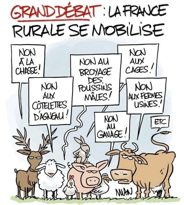 ChasseAbolition's tweet photo. #ruralité #RuralitéAntichasse #france https://t.co/7lM2UcfPzm