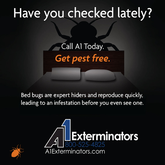 Bed Bug Checklist: 🐜🔍
🛏️ Inspect mattress thoroughly
🕵️‍♂️ Look for blood spots & dark stains
🛋️ Check furniture & crevaces
🧳 Inspect luggage
📞 Call A1: 866-511-6026

#a1exterminators #pestcontrol #bedbugs #bedbugcontrol #dontletthebedbugsbite