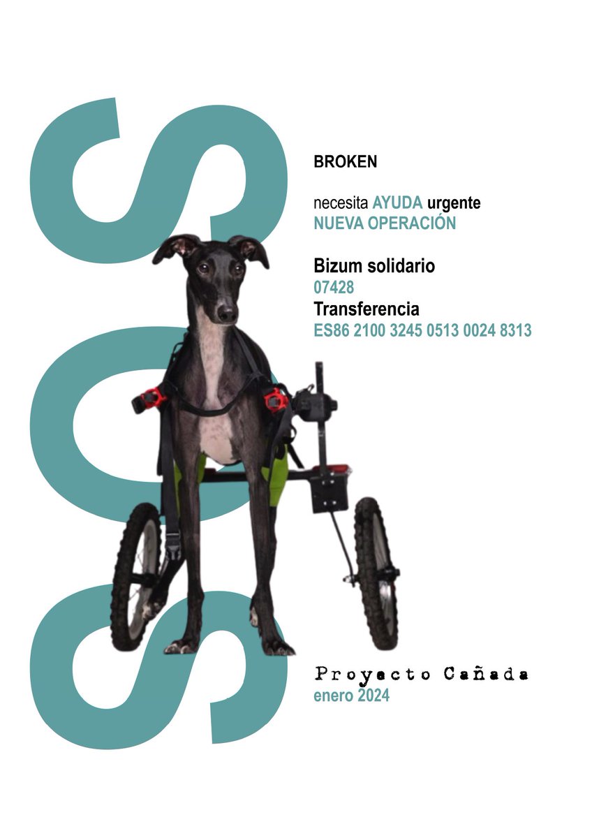 Proyecto Cañada tweet media