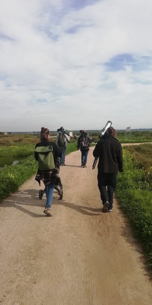 José A. Alves (@_joseaalves_) on Twitter photo Colaborative discussions continue between <a href="/eco_flyway/">Eco Flyway</a> and <a href="/GlobalFlyway/">Global Flyway Network</a> teams, spanning from estuarine #benthos, #spoonbill habitat use + #movement #ecology & #data #culture on (#wader) #tracking. But also not all is work!
#biodiversity #conservation #migration #ornithology Colaborative discussions continue between <a href="/eco_flyway/">Eco Flyway</a> and <a href="/GlobalFlyway/">Global Flyway Network</a> teams, spanning from estuarine #benthos, #spoonbill habitat use + #movement #ecology & #data #culture on (#wader) #tracking. But also not all is work!
#biodiversity #conservation #migration #ornithology