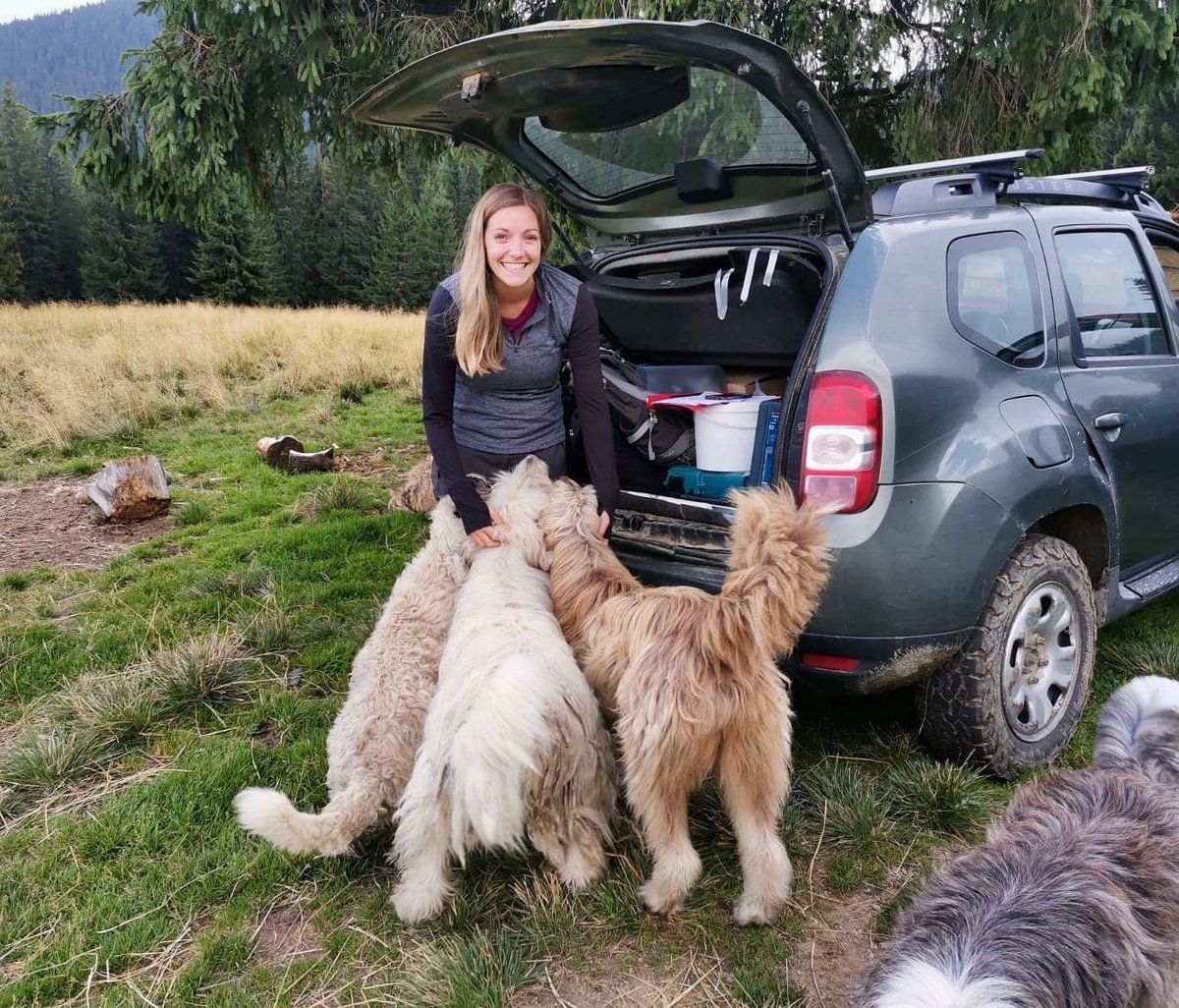 Officially Dr Smith 🍾  Huge thank you to <a href="/louise_gentle/">Louise Gentle</a> and <a href="/ClaudioSillero/">Claudio Sillero</a> for a very pleasant viva experience! And of course thanks to my supervisory team @antonio_uzal <a href="/RichardYarnell1/">Richard Yarnell</a> &amp; Kat Whitehouse-Tedd, to <a href="/NottmTrentUni/">Nottingham Trent University</a>, <a href="/FaunaFloraInt/">Fauna & Flora</a> and to all the dogs! 🇷🇴 🐕 #PhDone