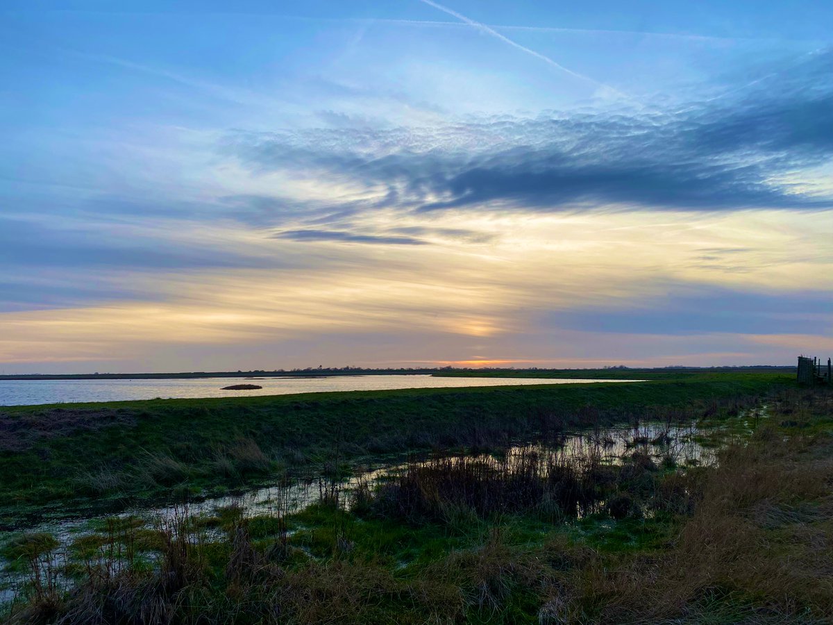 Cracking out of patch experience at Wallasea RSPB today with <a href="/callacola/">Carla Davis</a> - 2 ring-tail Hen Harrier, 1 Black-throated Diver, 3+ Short-eared Owl, 1 Spotted Redshank, 1 Merlin, 2 Peregrine, 10+ Stonechat <a href="/EssexBirdNews/">EBwS Bird News</a> <a href="/BirdGuides/">BirdGuides</a>