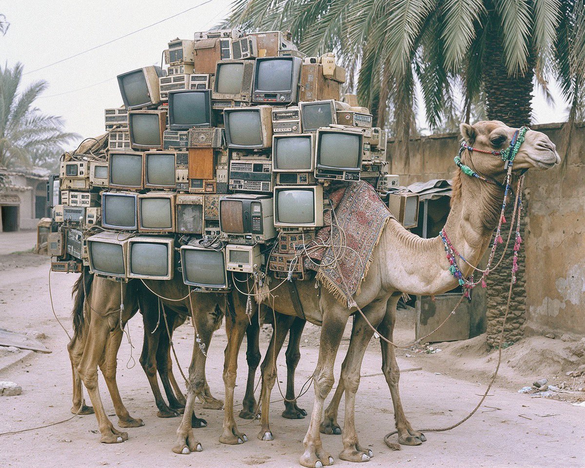 Psymulate tweet media