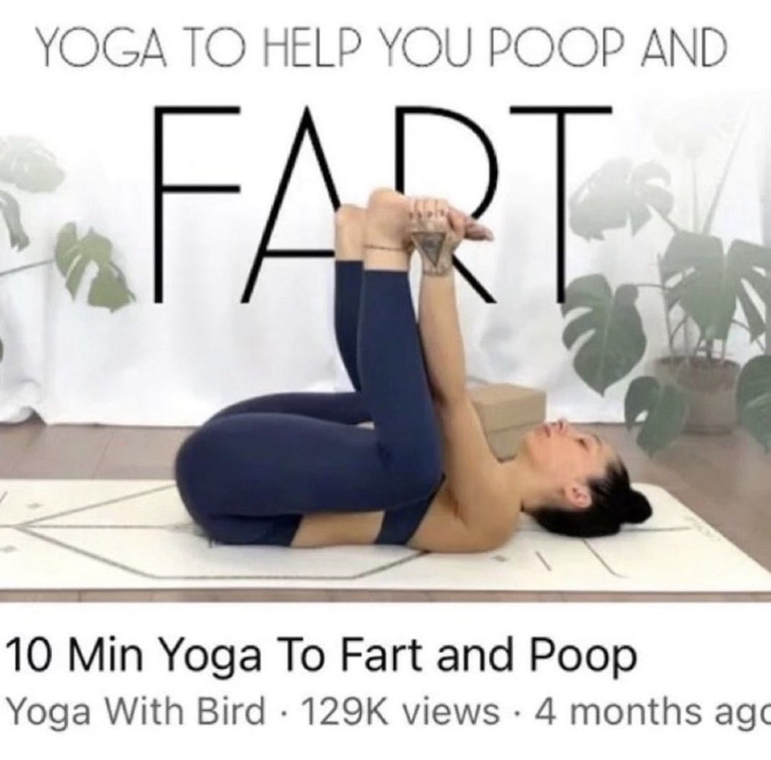 Butt Stuff tweet media