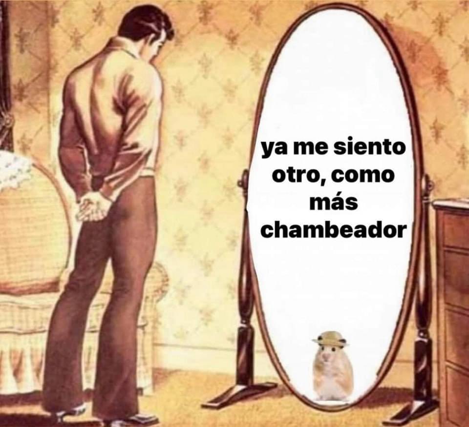 Hola, me encuentro F/A para futuras competencias R6 LATAM
Puedo desempeñarme como 
Entry/Flex