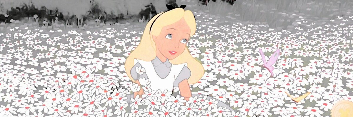 maria. tweet media