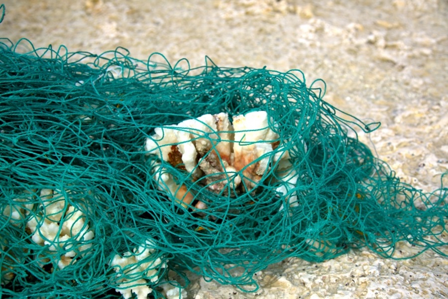 WetTribe's tweet photo. Ghost gear (lost or abandoned fishing nets, rope, and line) break, shade, and abrade coral reefs, preventing already stressed coral from healthy growth. #WetTribe #TidetotheOcean #CitizenScience #Saturday #Sailing #FloatingLab #Coral #OceanPlastic #GhostNets https://t.co/A1eVVf8Uo5