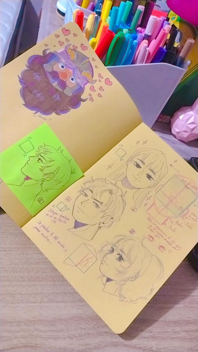 Soleidy Renaim. tweet media