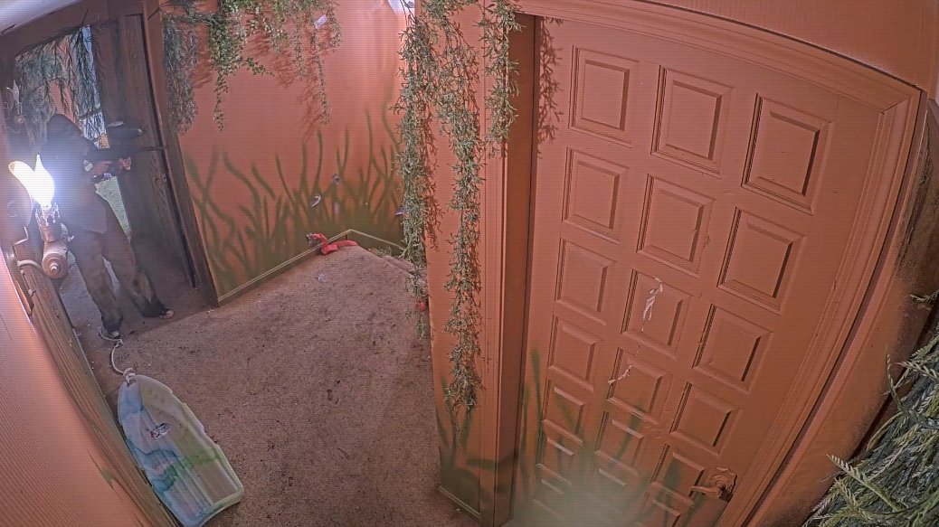 BEVERAGE USER tweet media