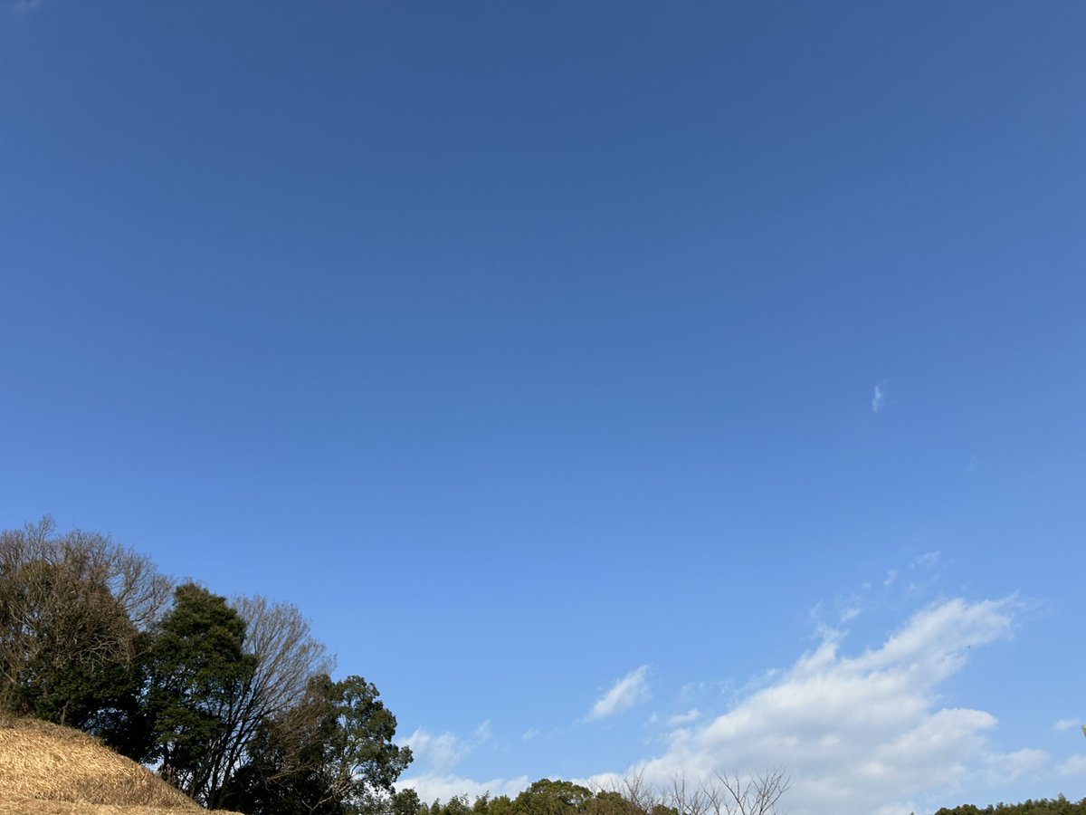 arabashiry's tweet photo. 日曜朝ラン10km出来ました😁👍 https://t.co/IIpgtcktkD