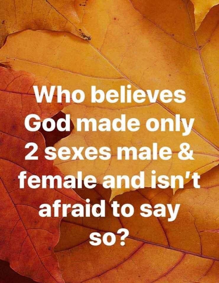 🤬Liberalism is a disease🤬

YES, There are only two sexes

<a href="/PriamtheB/">PriamtheBold</a> <a href="/_USRepublic/">𝕄𝔸𝔾𝔸 𝕎𝔸ℝℝ𝕀𝕆ℝ I Voted 4 𝔸𝕃𝕃 𝕆𝔽 𝕋ℍ𝕀𝕊</a> <a href="/SweetPeaBell326/">SweetPeaBelle</a> 
<a href="/Hyperweather1/">🇺🇸Adrian🇺🇸</a> 
<a href="/322_45won/">꧁ ༒ ☬ 𝓢𝓾𝓮 ☬ ༒ ꧂</a> 
<a href="/VotifyNow/">VotifyNow</a> 
<a href="/rosejam181920/">🌹 【J】【a】【m】 ✝️🇺🇸</a> <a href="/RoseDC11/">✝️🇺🇸🇮🇹RoseDC11</a> <a href="/ToniLL22/">Toni</a> <a href="/Bagel69er/">🇺🇸🇺🇸🇺🇸Bagel Colorado❤️🤍💙</a> <a href="/rrrrrrrickrock/">RICK T</a> <a href="/FreeThankElon/">FREE🇺🇸Thx❤️Elon 🙏🥰💙💚❤️💙💚💜❤️❤️❤️❤️❤️❤️❤️❤️</a> <a href="/Lisahudsonchow7/">Lisa 💃🏻💋🌹🍷</a> <a href="/MP_2A/">Mark, The Mega Patriot</a> <a href="/Zegdie/">⧼D̼⧽⧼i̼⧽⧼a̼⧽⧼n̼⧽⧼e̼⧽</a> <a href="/TJ_Patriot1/">TJ Patriot</a> <a href="/WenMaMa2/">WenMaMa2 🤔🧐🕵️‍♀️</a>