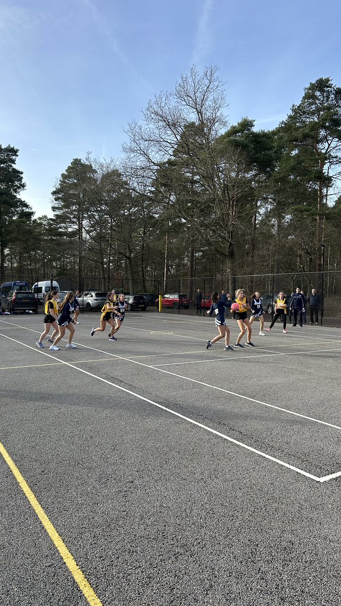 Welly Netball tweet media