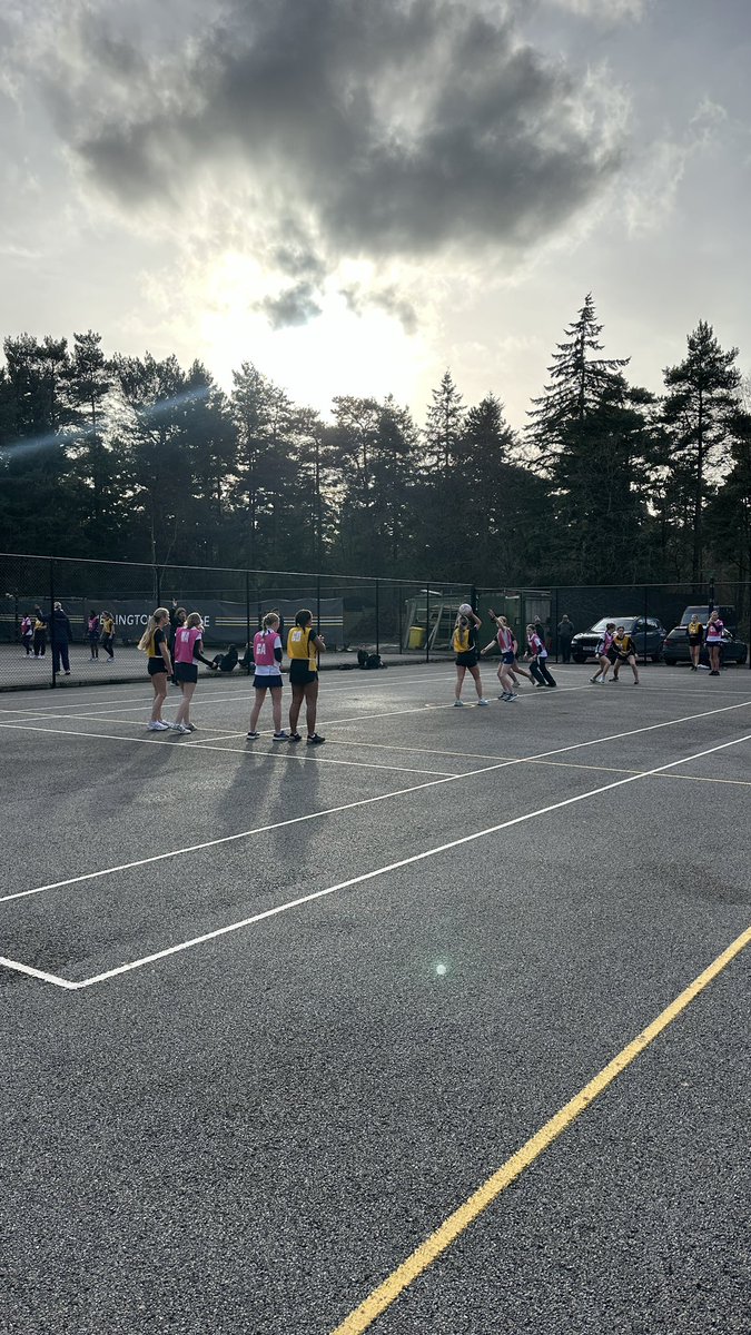 Welly Netball tweet media