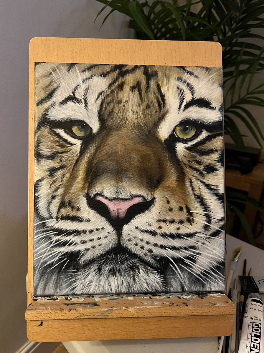 Sijoe_'s tweet photo. A bit of Saturday night painting to relax after a long week. First attempt at a tiger, literally just for fun 😘👨🏻‍🎨

#art #tiger #acrylic #painting #artist https://t.co/8XPuUlpMCz