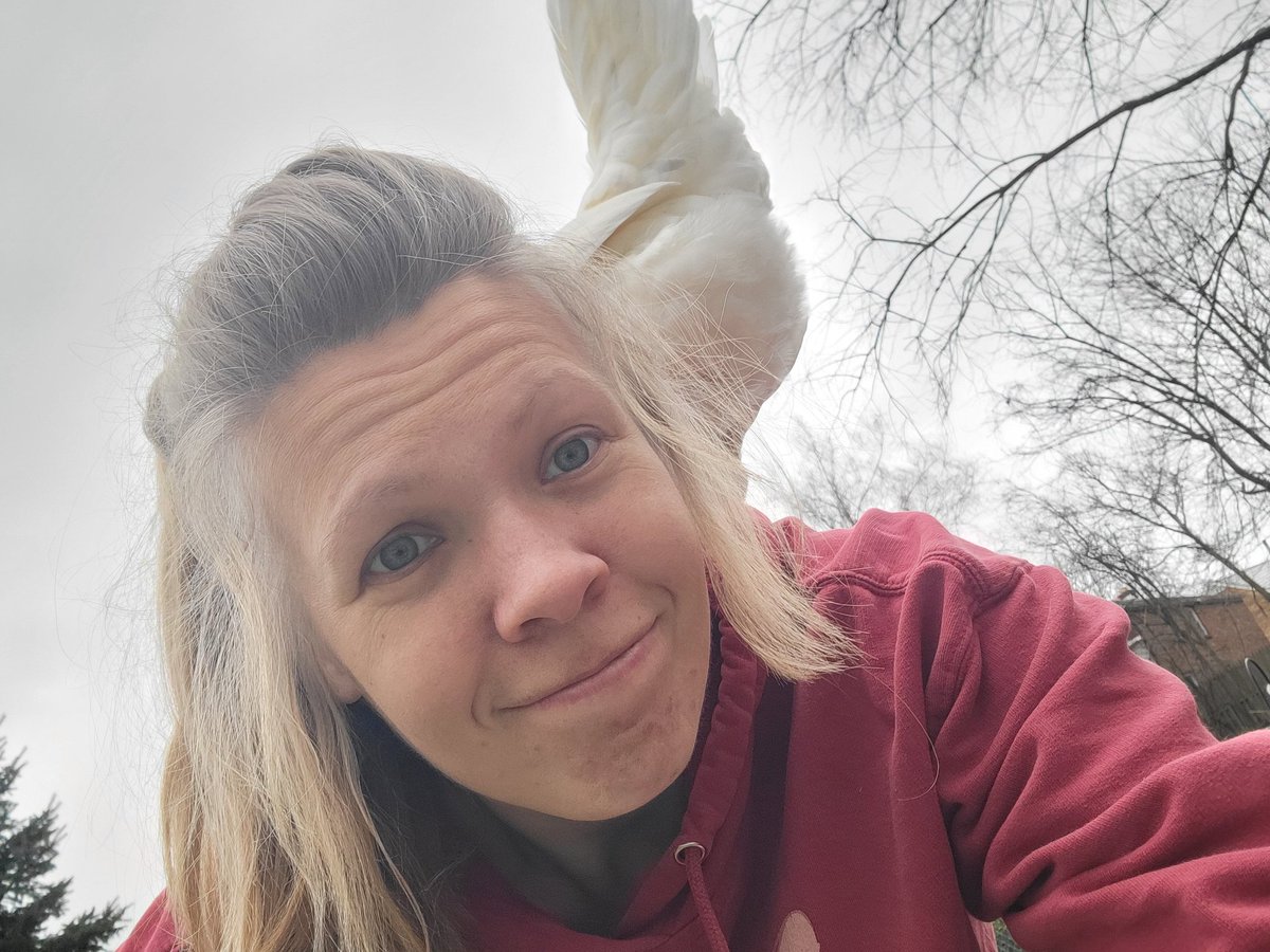 Lazy Saturday with my favorite chickies 💛