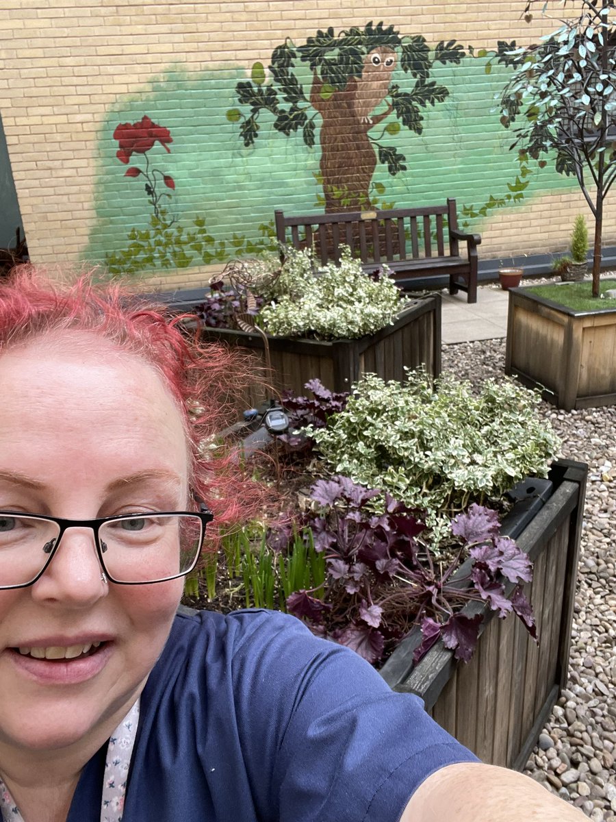 HelenLee439414's tweet photo. Royal Derby Hospital ICU garden. Spring is on its way https://t.co/ejpkhWk900