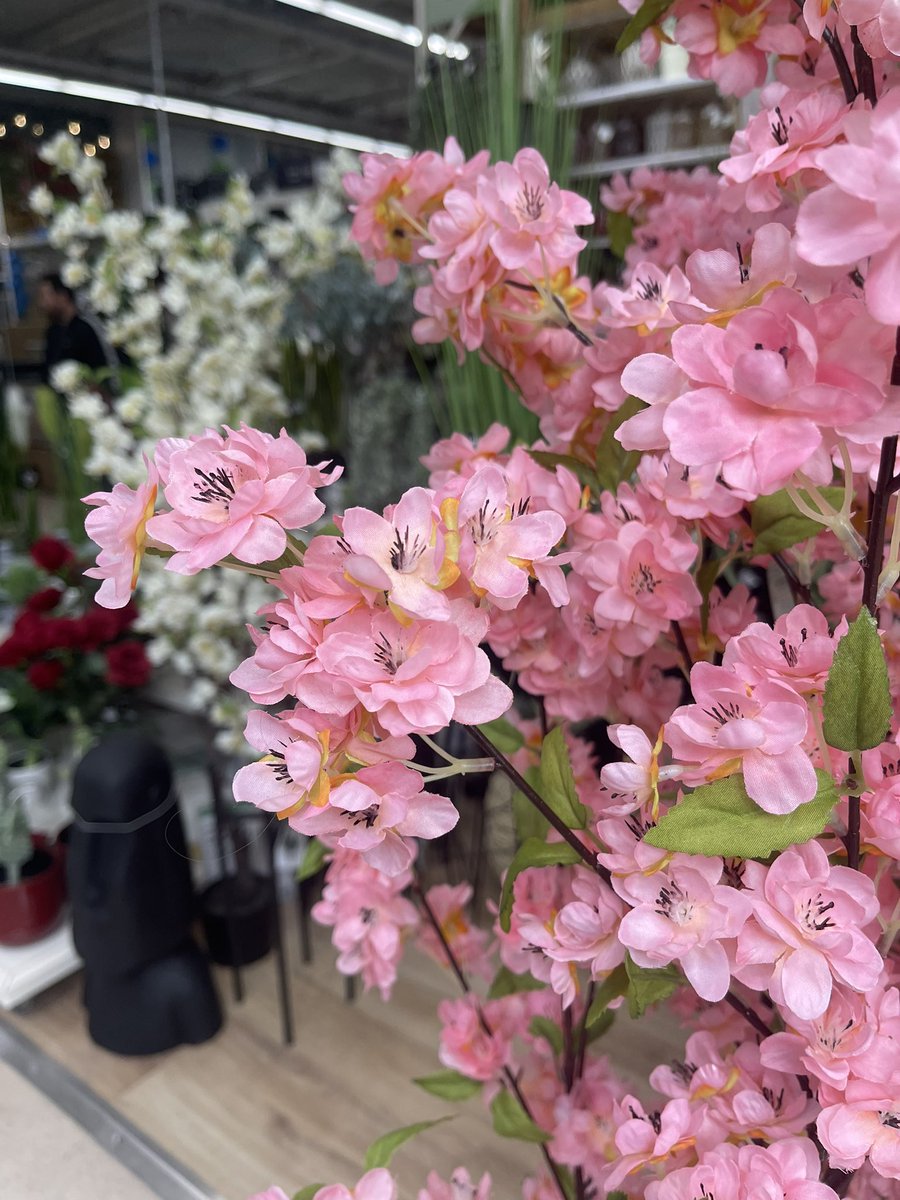 Happy place <3
🎨💓