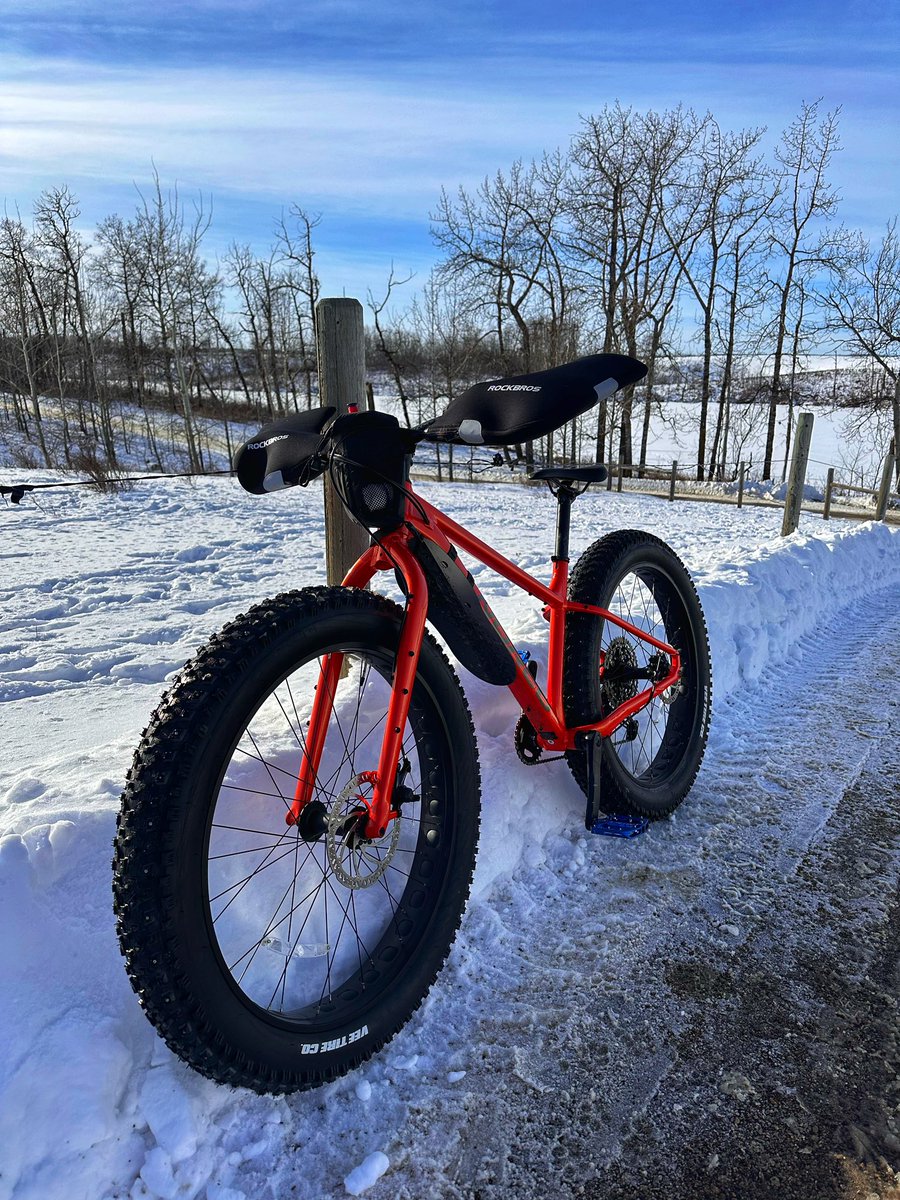 Nancy Toso tweet media