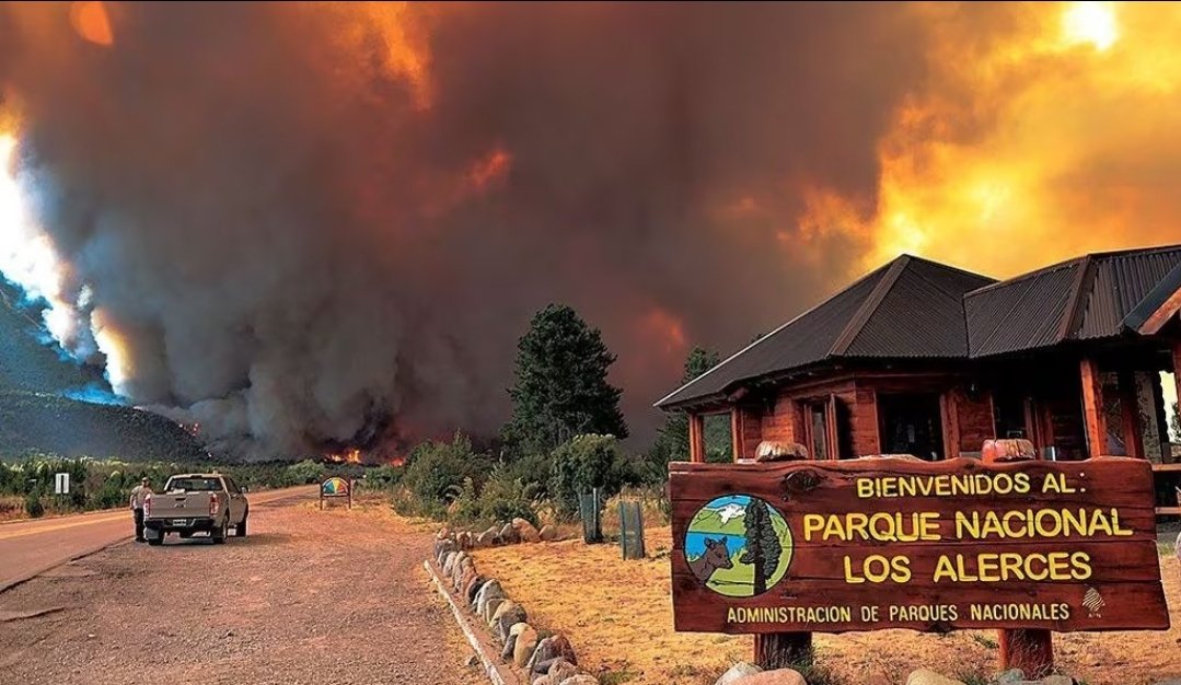 ClaudiFerreira_'s tweet photo. Mientras el "presidente" pierde el tiempo paveandose con imágenes como la de abajo, el Parque Nacional Los Alerces desaparece y no llega ayuda de ningún tipo. Una vergüenza lo que votaron, inconcientes! https://t.co/TN1RXm086T