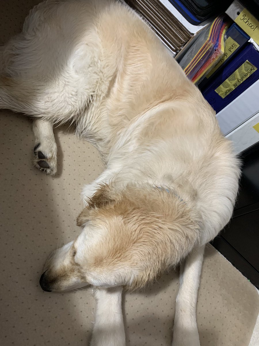 ryoo_math's tweet photo. Day 27 step challenge #thefaveway just got in from walking in the rain https://t.co/jWnuzievc8