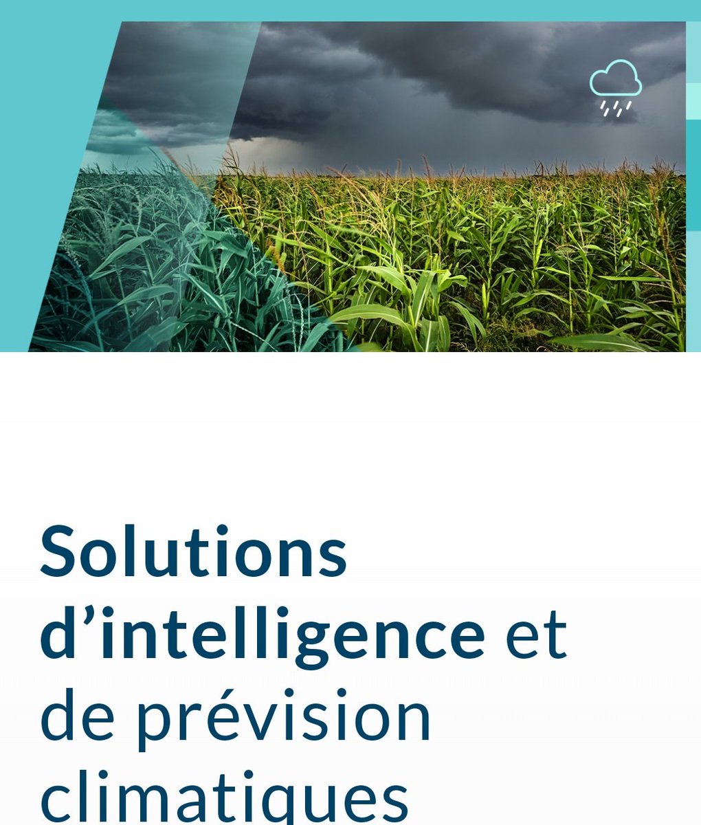 elhadjham's tweet photo. @tayebwa_cohen @MAAIF_Uganda @AgricJournalist @NAP_Africa @FieldAgronomist @jason_kanani @Jesseshokz @ShimoYvette @niyo_charles @JoelOptimist1 @kamanzi_claudin The problem has a solution: #IGNITIA's map-based weather forecasting. With this forecast, farmers have a better planning tool at their disposal. Forecasts: daily, weekly, monthly, quarterly and half-yearly. Contact us https://t.co/k6v4VG5Zk0