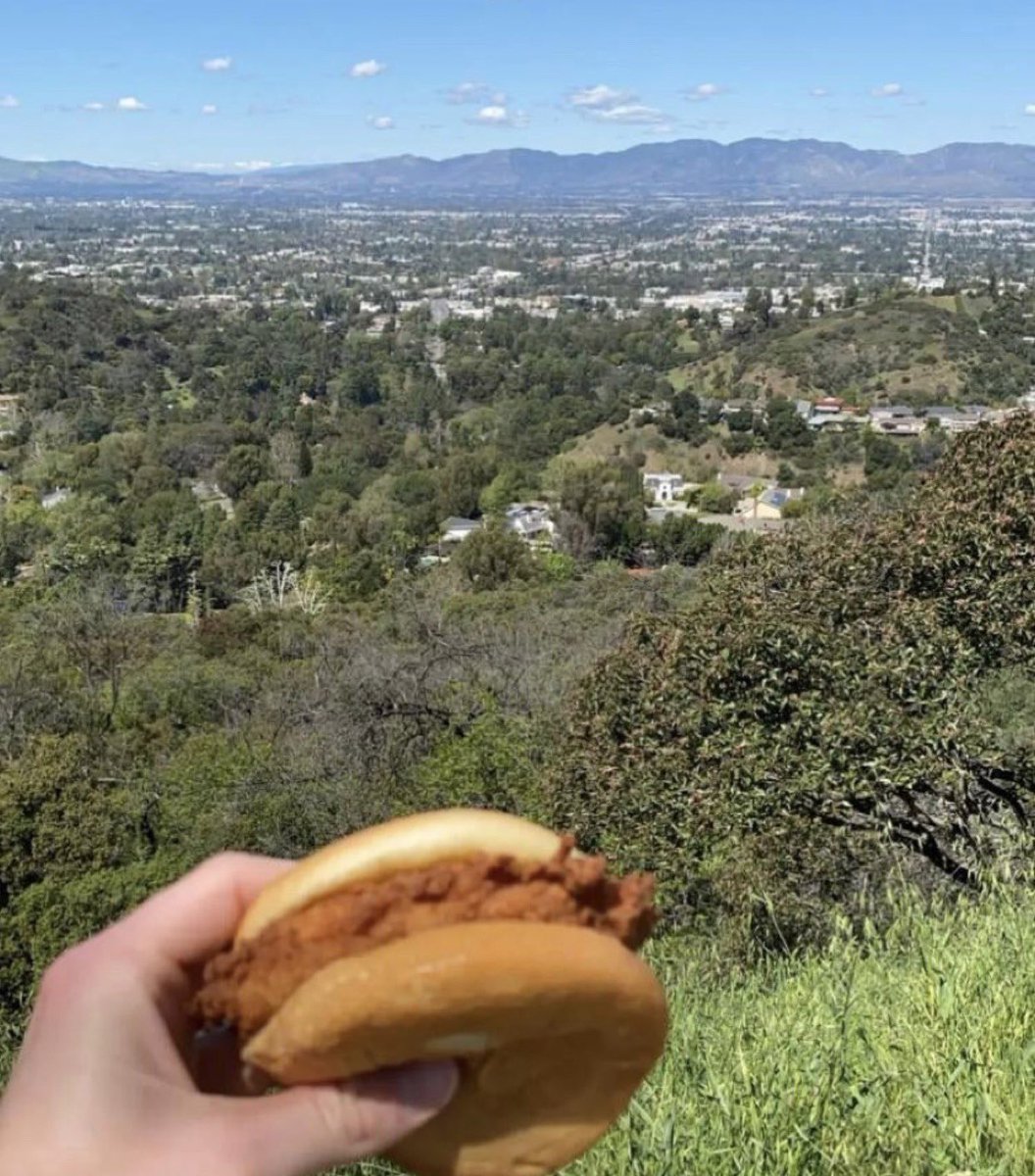 the world can be so fucking beautiful sometimes