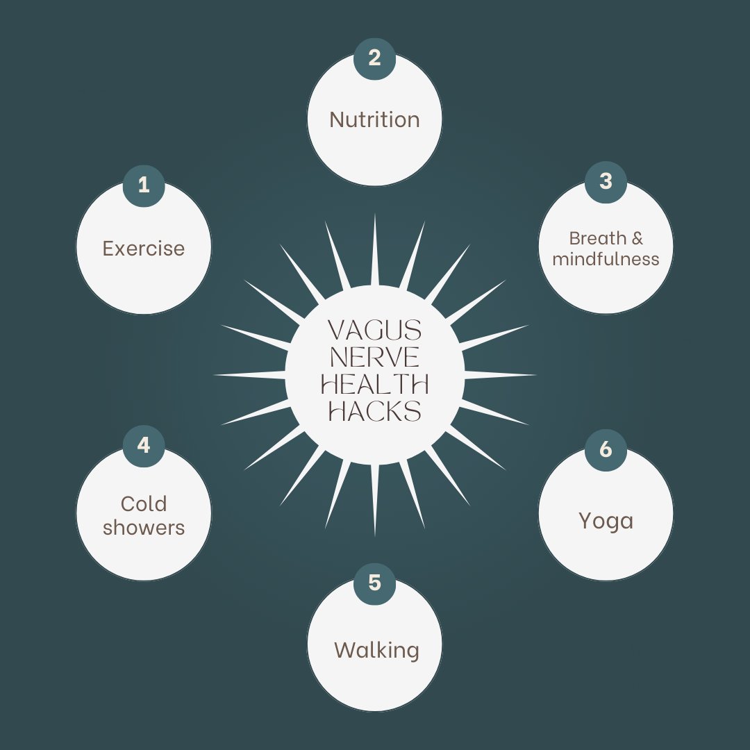 AnchorWellness1's tweet photo. Your vagus nerve connects the brain to the rest of your body and helps you relax after a stressful experience. Proper vagus nerve function is crucial for optimal gut health. You can regularly activate your vagus nerve by reducing stress levels with these helpful tips!🤩 https://t.co/eH31YrCRJ2