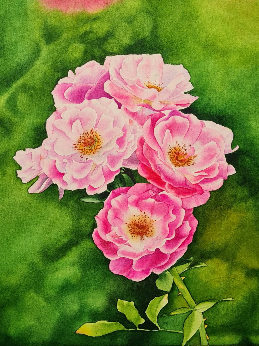 'Persian rose ' 
In Pink Blooment collection 
Watercolor technique and hyperreal style 
10.00tz
.
objkt.com/tokens/KT1SEVj…
.
.
#NFT #nftart #persianrose #ROSE #Pink #FLOWER #NFTartist