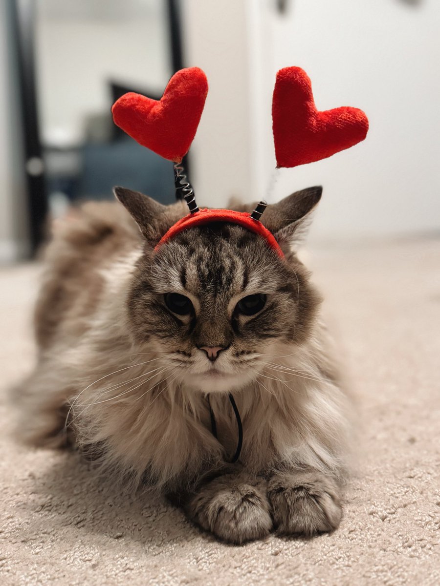 Julianne Moore tweet media