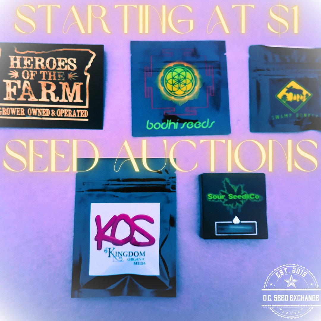 DCSeedExchange's tweet photo. Forget boring buds, dive into GENETIC GOLD with our Weekend Auction frenzy: https://t.co/nwSPhunBXg
#seedauction #growyourown #cannabiscommunity #dcseedexchange #rareseeds https://t.co/UIWi2QyBdu