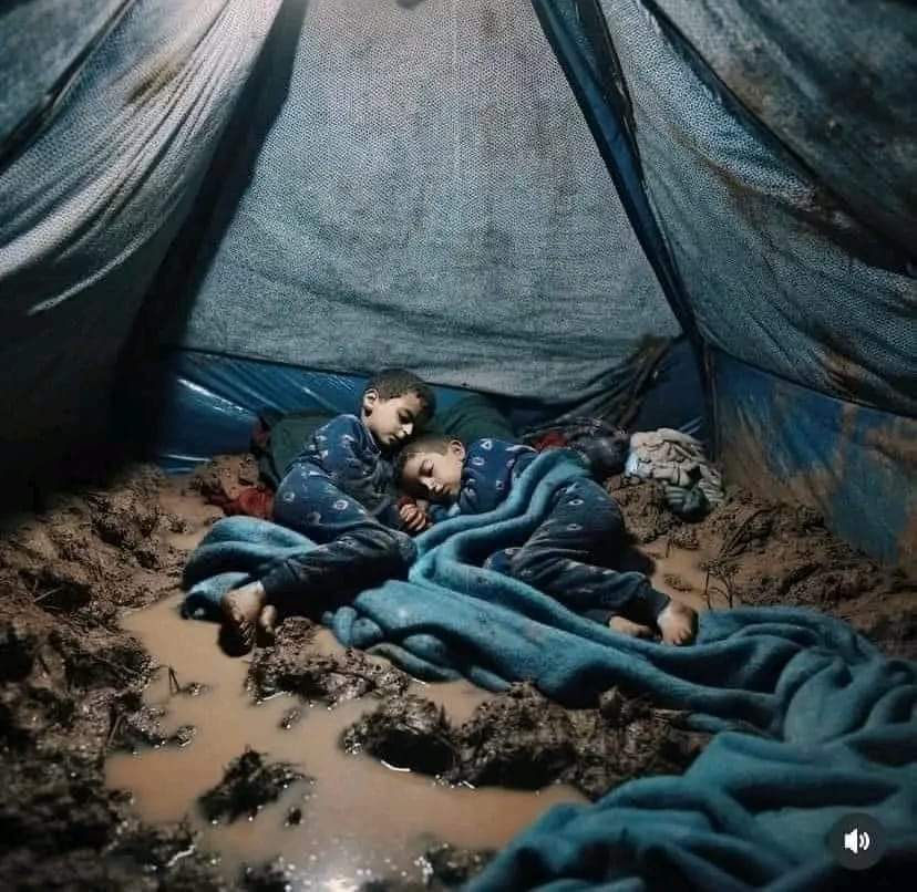 We will Never forget!💔🥺
We will NEVER stop sharing!!✊

ᖴᖇᗴᗴ ᑭᗩᒪᗴSTIᑎᗴ!!!🇵🇸🕊️