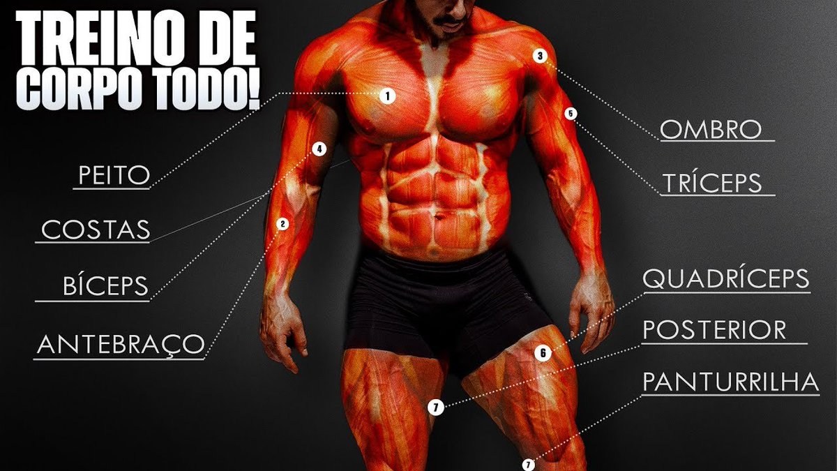 joaoscar_'s tweet photo. SEQUÊNCIA COMPLETA para treinar o CORPO TODO, sem NENHUM EQUIPAMENTO!

(FEITO EM CASA) https://t.co/frqf8OFbyP