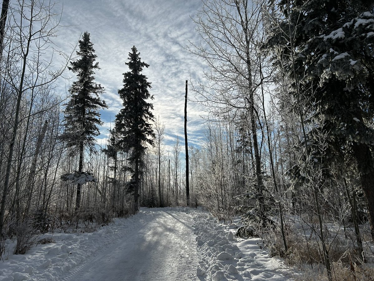 Connie Benson tweet media