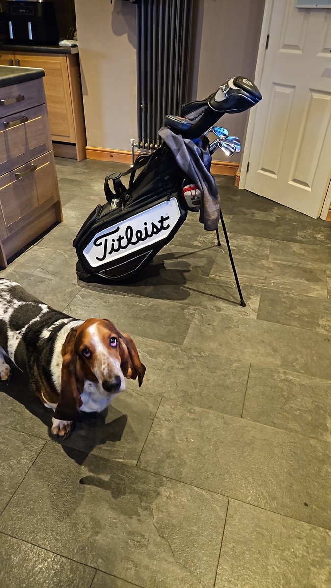 davecreaser's tweet image. New Bag Outing Tomorrow #titlest #snaintongolf