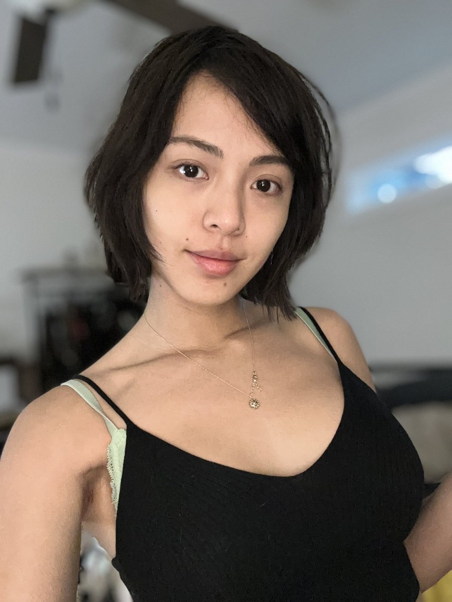 𝐜𝐡𝐚𝐧𝐜𝐨 𝐜𝐚𝐭 @chancocat - Twitter Profile | Sotwe