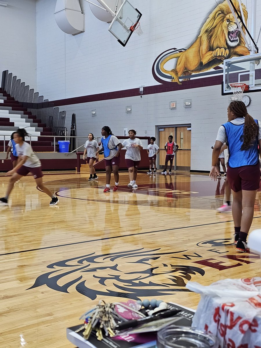 Lady_LionsBball's tweet photo. Just a quick photo dump.....🏀 🦁 https://t.co/WaB257HNs7