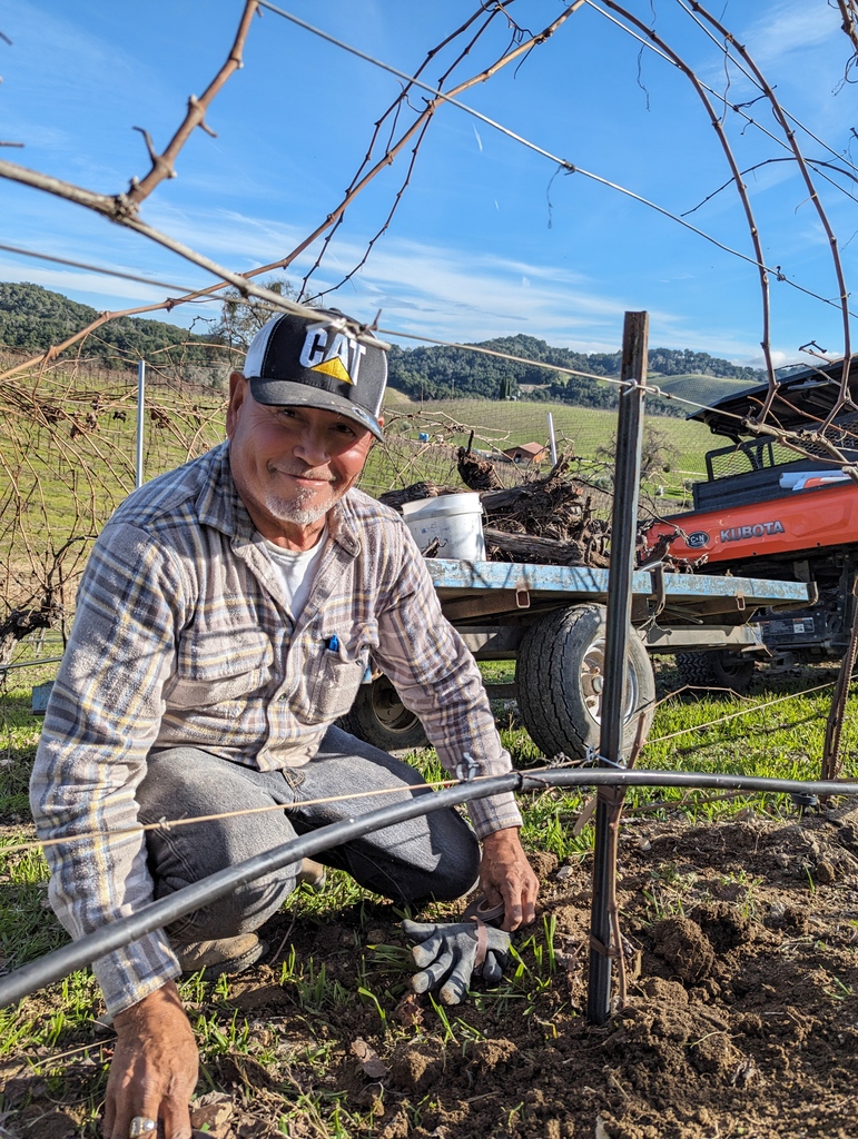 Tablas Creek tweet media