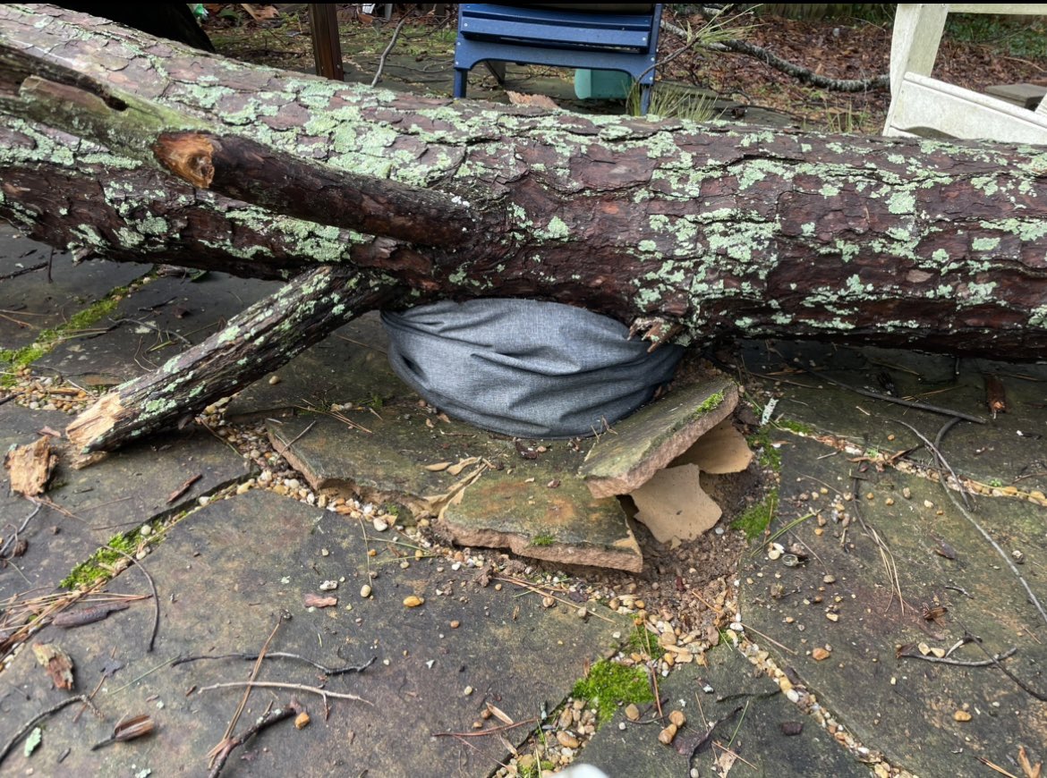 LLL_berry's tweet photo. Unfortunately just had a tree go down in our yard. All folks are okay, house took minimal damage, but the @SoloStove took a direct hit 😭 https://t.co/5RxPQrQrlS