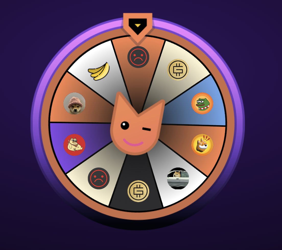 GingerMooar 🍪 tweet media