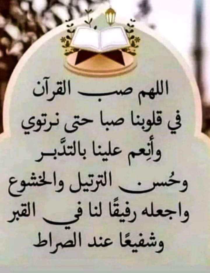 oum_keltoum's tweet image. 