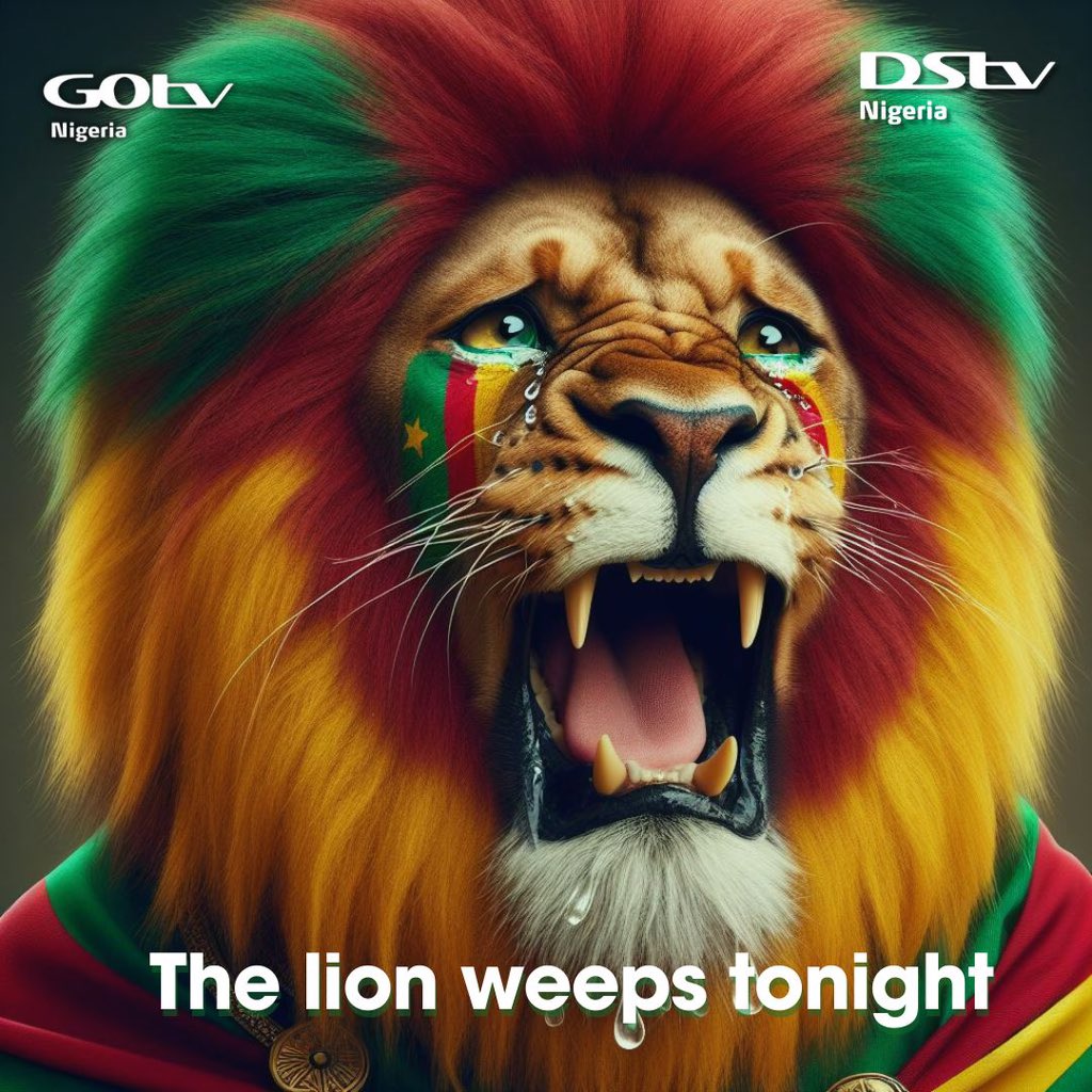 DStvNg's tweet image. The lion Weeps tonight 

Ah Wimoweh Ah Wimoweh

#Gosupereagles #afcon2023 #afconondstv #ngrcmr