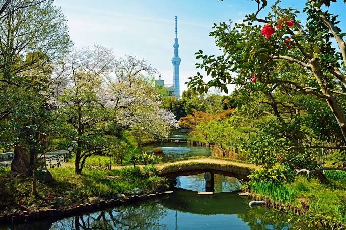 Lost in the tranquility of Mukojima-Hyakkaen Garden
霧島百花園庭園に迷い込む。