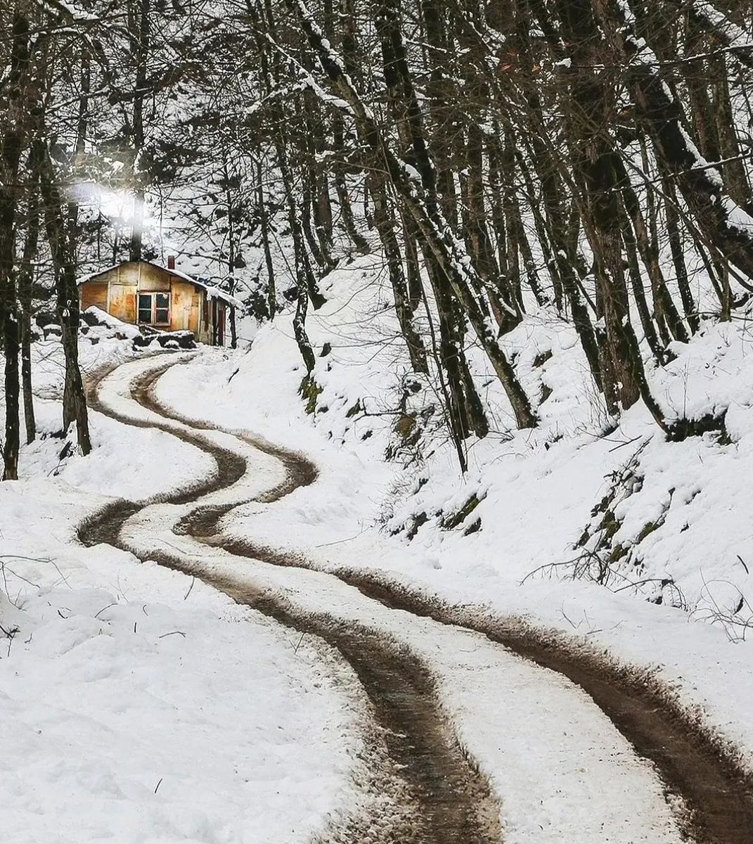 AŞK💕BEYİ💕SERKAN tweet media