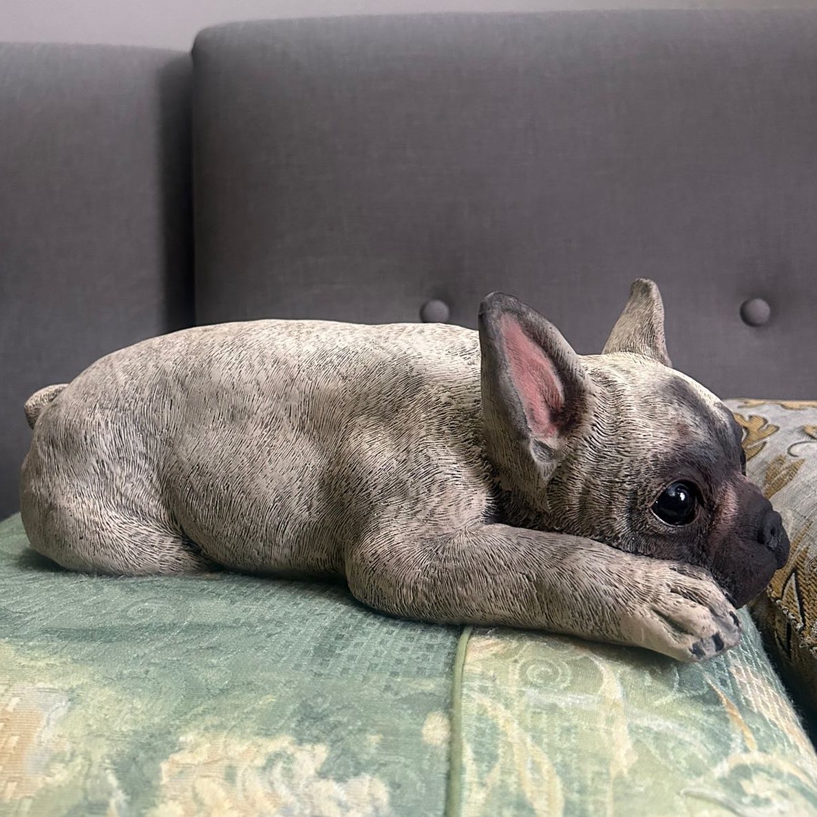 AMIGOSSS como es que mi papá y yo estábamos viendo televisión y va llegando mi mamá a mostrarnos ESTOO NOS ASUSTAMOS HORRIBLE PENSÁBAMOS QUE ERA UN PERRO REAL!!!! Y es un regalo que ELLA HIZO para un sobrino????!!!! No puedo creer que ella sea tan talentosa😭😭😭😭 LA AMOOO