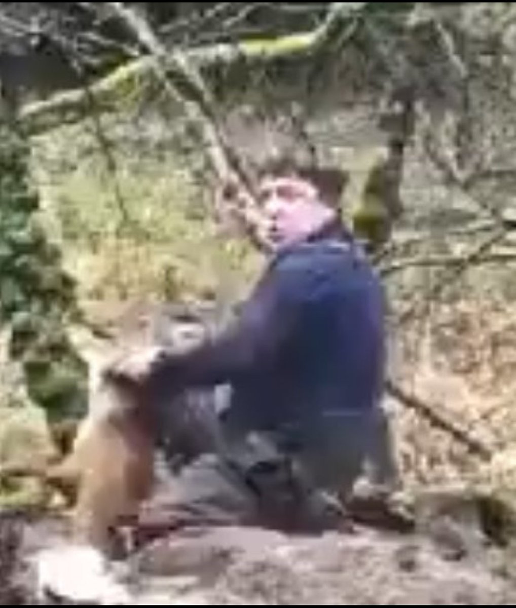 This is Oliver Thompson of the Old Berkshire hunt kennels who dug up a fox & threw it alive to the pack of hounds where it was ripped to shreds. I find it difficult to understand what would drive someone to act in such a vile, cruel way. I wish him and those with him misery.