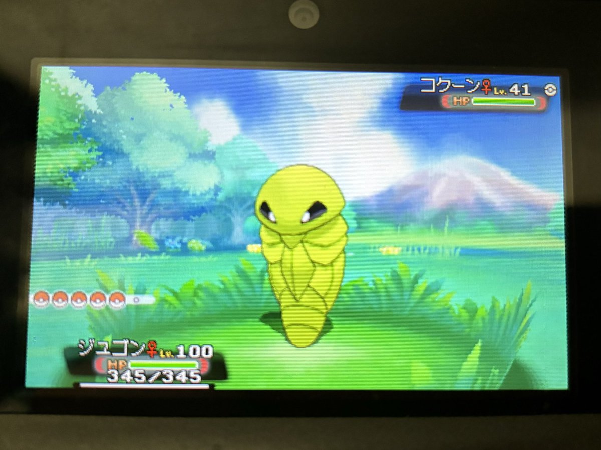 DChindon's tweet photo. 昨日、一昨日に引き続き、今度はコクーンが光りました。
#色違いポケモン
#ポケモンoras
#コクーン https://t.co/Oq8If68oeC